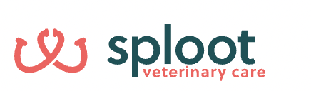 Sploot Veterinary Care shares clinic expansion plans in Denver