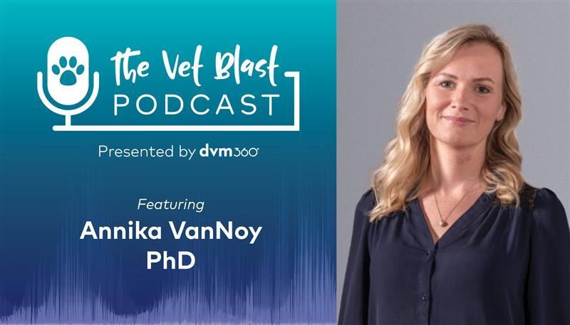 Healing the healers: Mental health in the veterinary profession