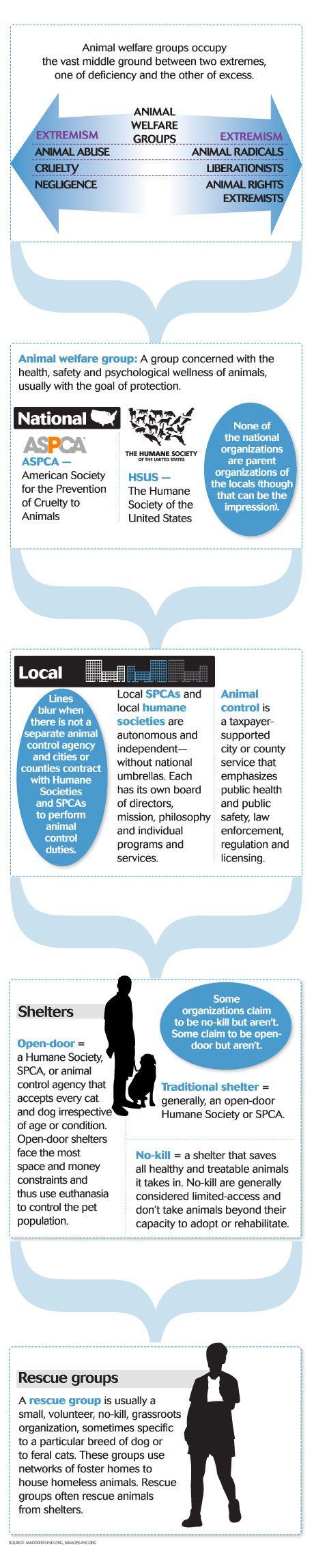 veterinary_infographic_shelter_460-2297px-2.jpg