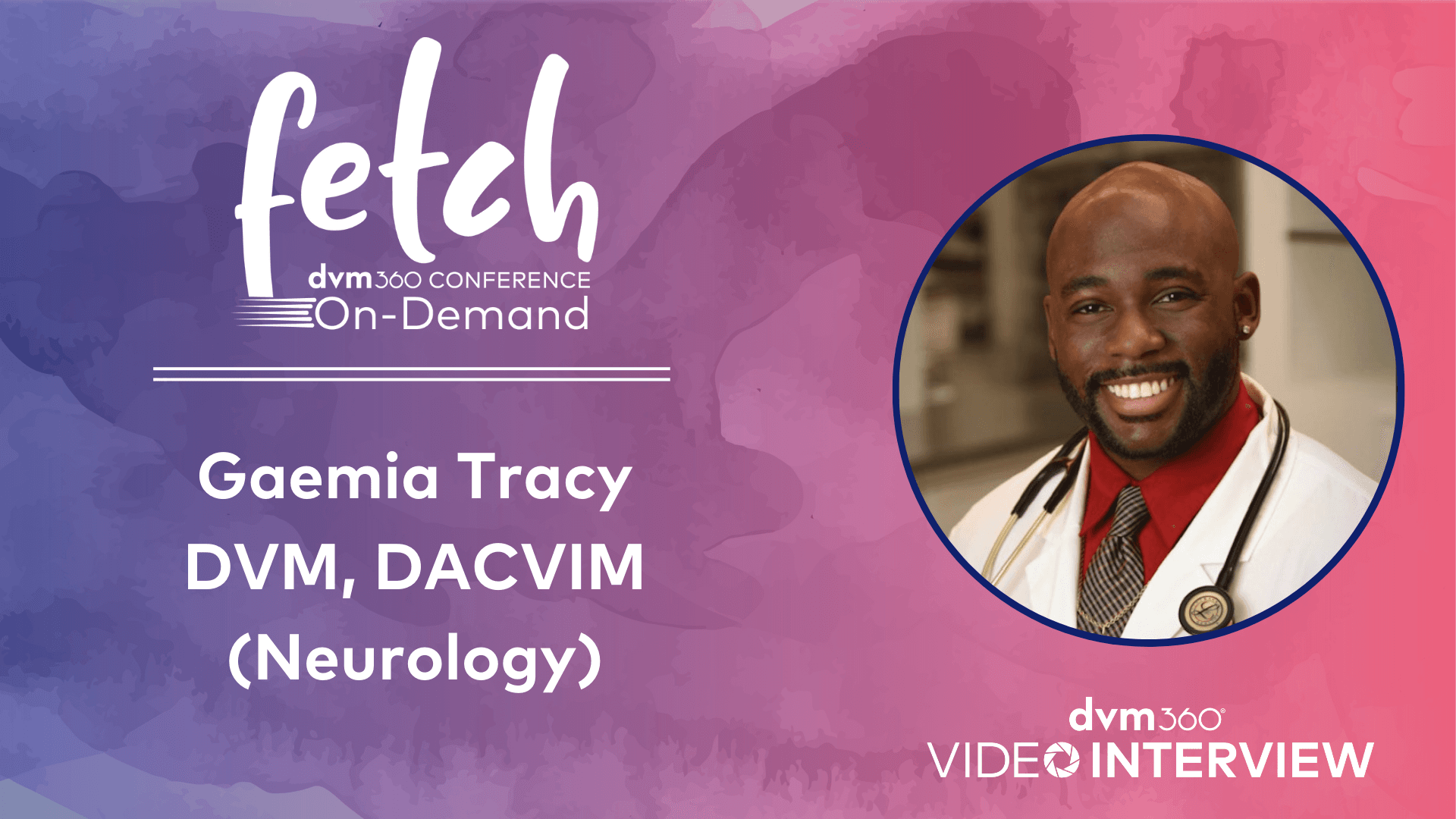 Gaemia Tracy, DVM, DACVIM (Neurology)