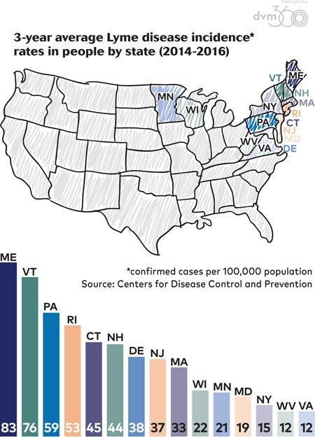 veterinary-dvm360-0218-Lyme-450px-scroll.jpg