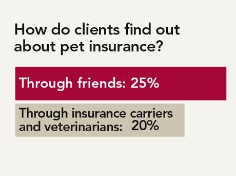 veterinary_pet_insurance4-682061-1384239266600.jpg