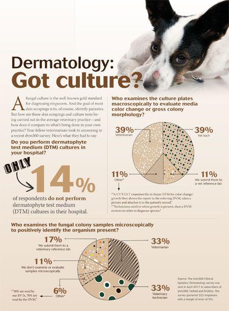 derm-culture-survey-450.jpg