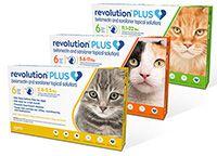 veterinary-Revolution-Plus.jpg