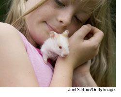 veterinary_hamster_wd-559084-1384665040621.jpg