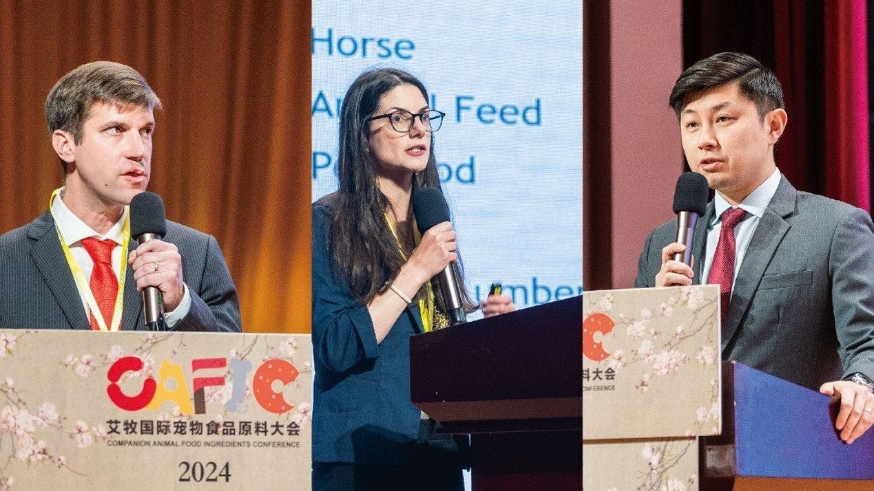 From left to right: Edward Potter, assistant country director at FDA’s China Office, Ashley van Batavia, DVM, MA, veterinarian of USDA-APHIS office in Beijing, and Ted Shibata, acting director of USDA-ATO in Shanghai, presenting at CAFIC 2024. (Photo courtesy of LAMB Consultancy)