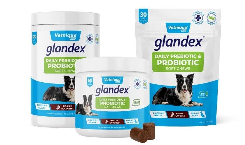 Glandex Daily Prebiotic & Probiotic Soft Chews.

Photo Courtesy of Vetnique.