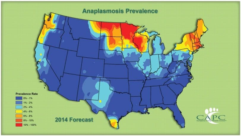 Anaplasmosis_map-843642-1404209582973.jpg