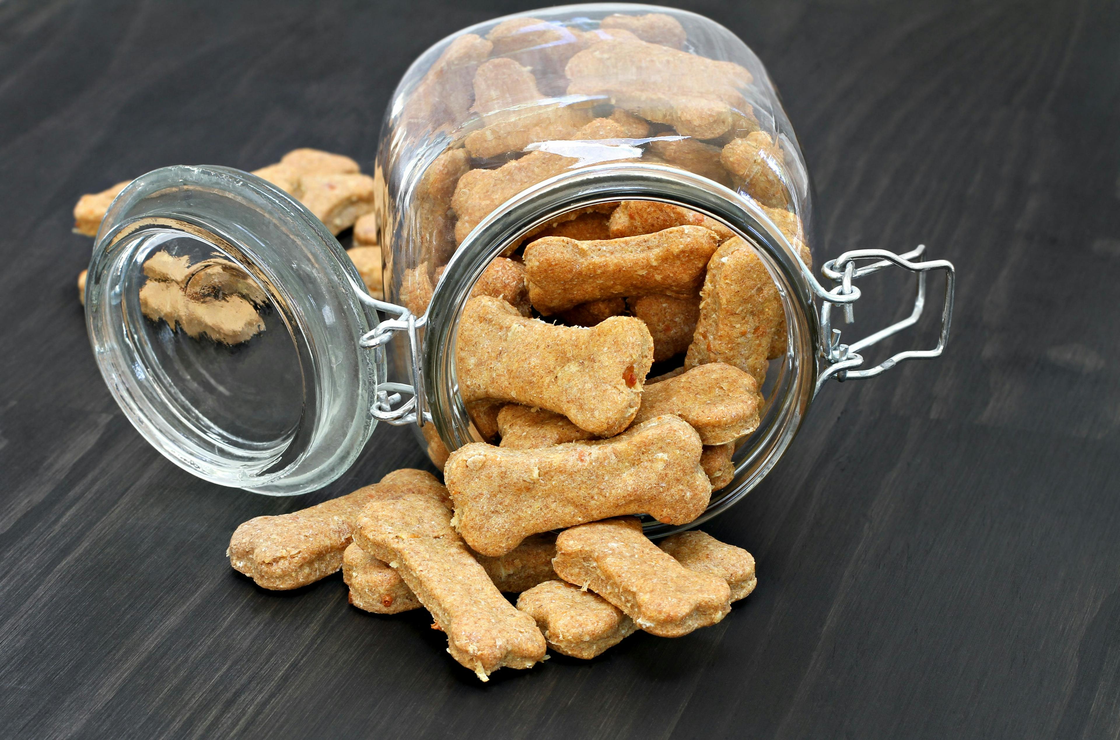 Feeding design trial for cultivated meat dog treats to be submitted to FDA for approval