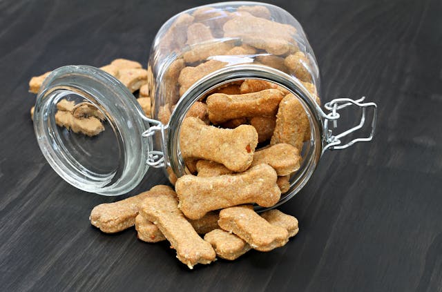 Feeding design trial for cultivated meat dog treats to be submitted to FDA for approval