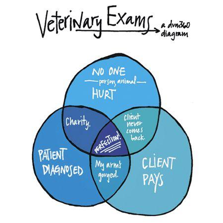 veterinary-vetted-0317-exams-back-page-450px.jpg