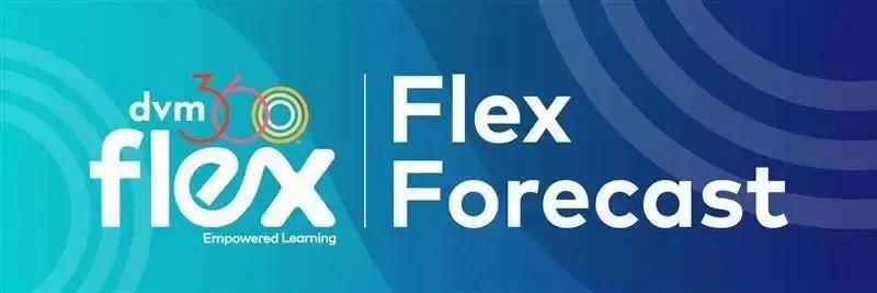 Flex forecast: October 2024  