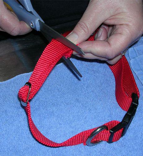 veterinary_harness_3_460-674398-1384277066605.jpg