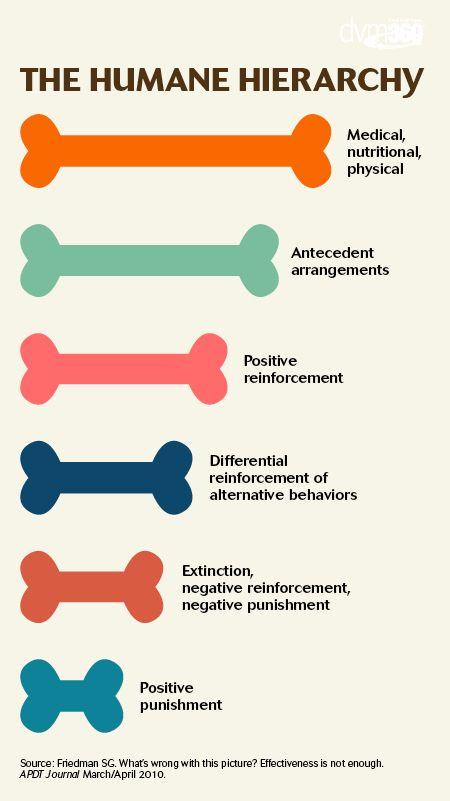 veterinary-humane-hierarchy-450pxscroll.jpg