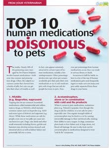 Human-toxins-pets-handout-1_220.jpg