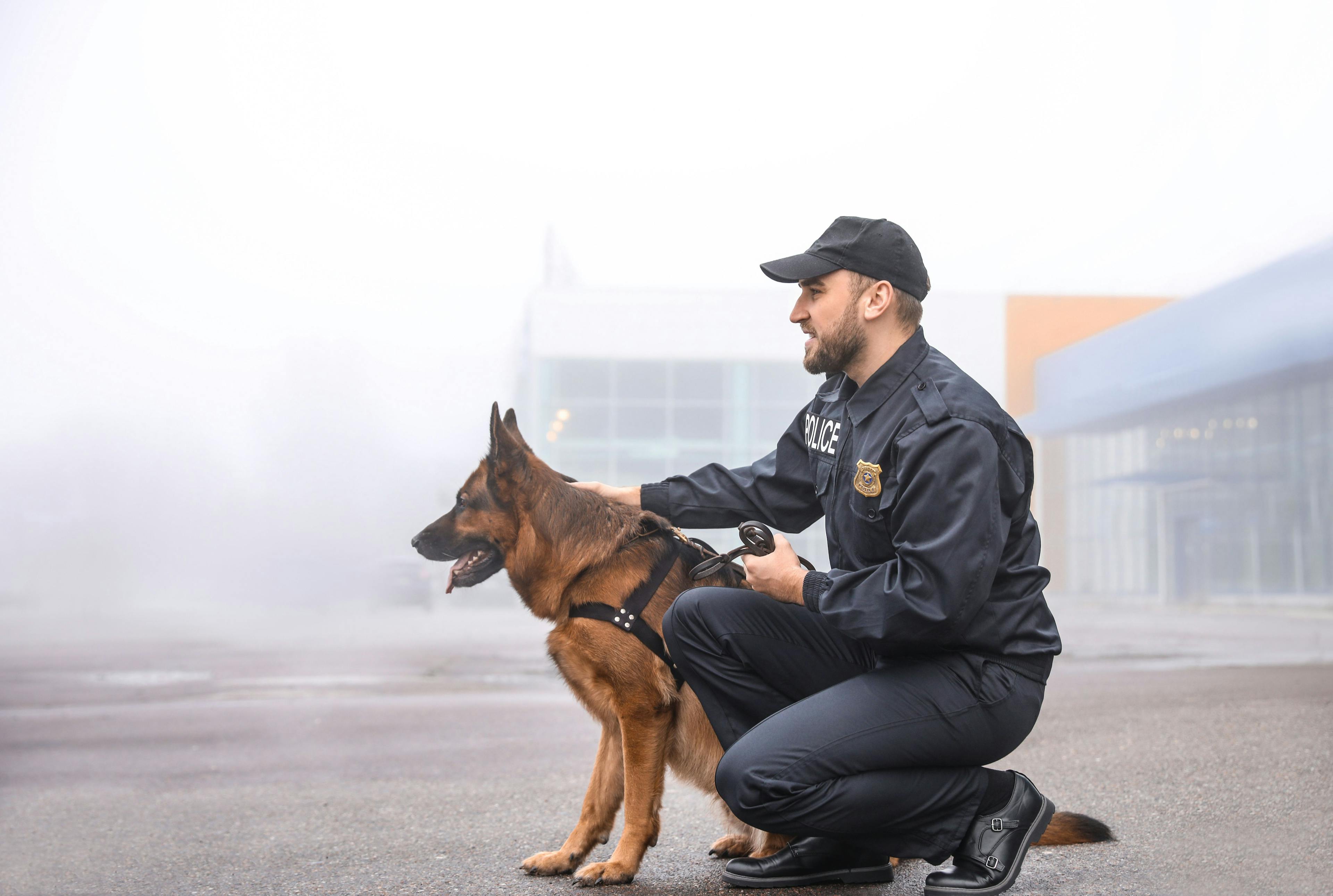 AKC Reunite awards over $1 million in grants for Adopt A K-9 Cop Program 