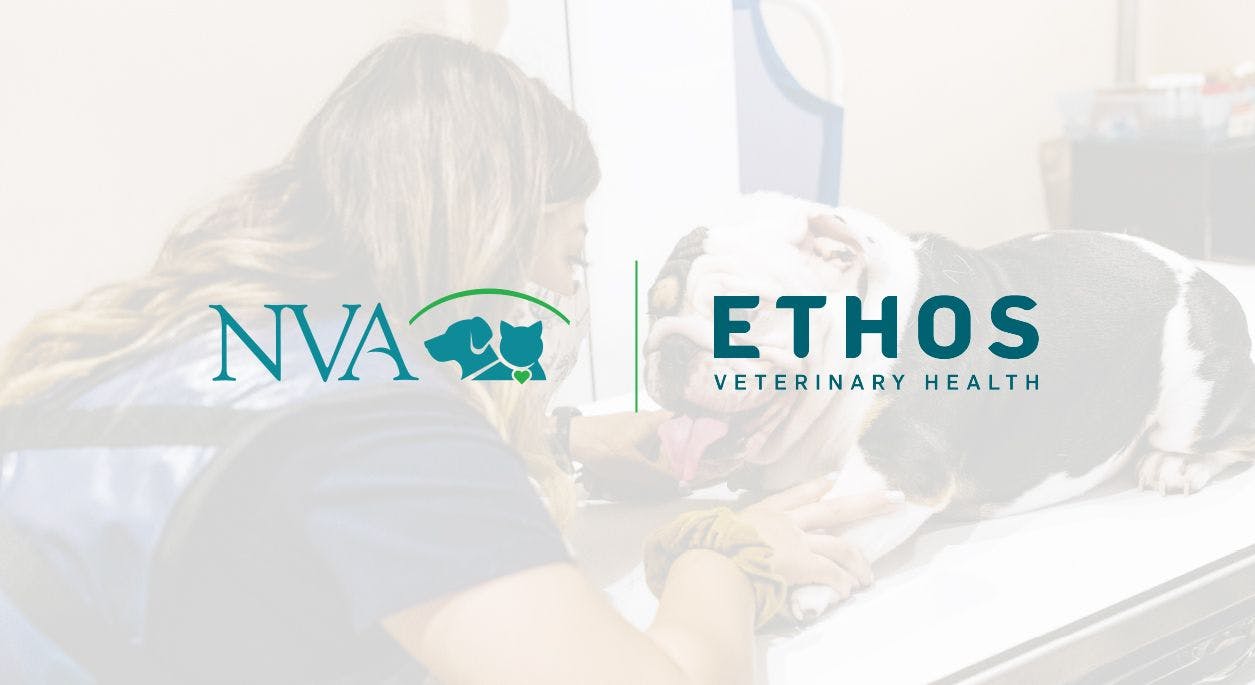 NVA and Ethos