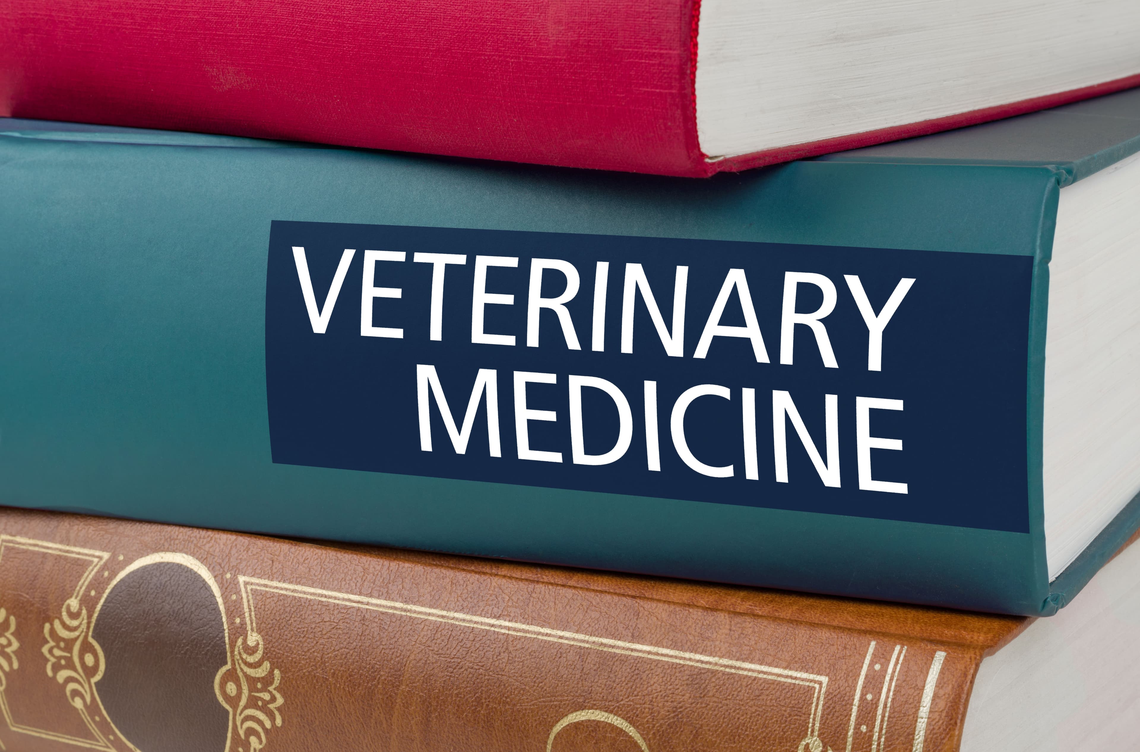 First veterinary school in New Jersey now accepting applications