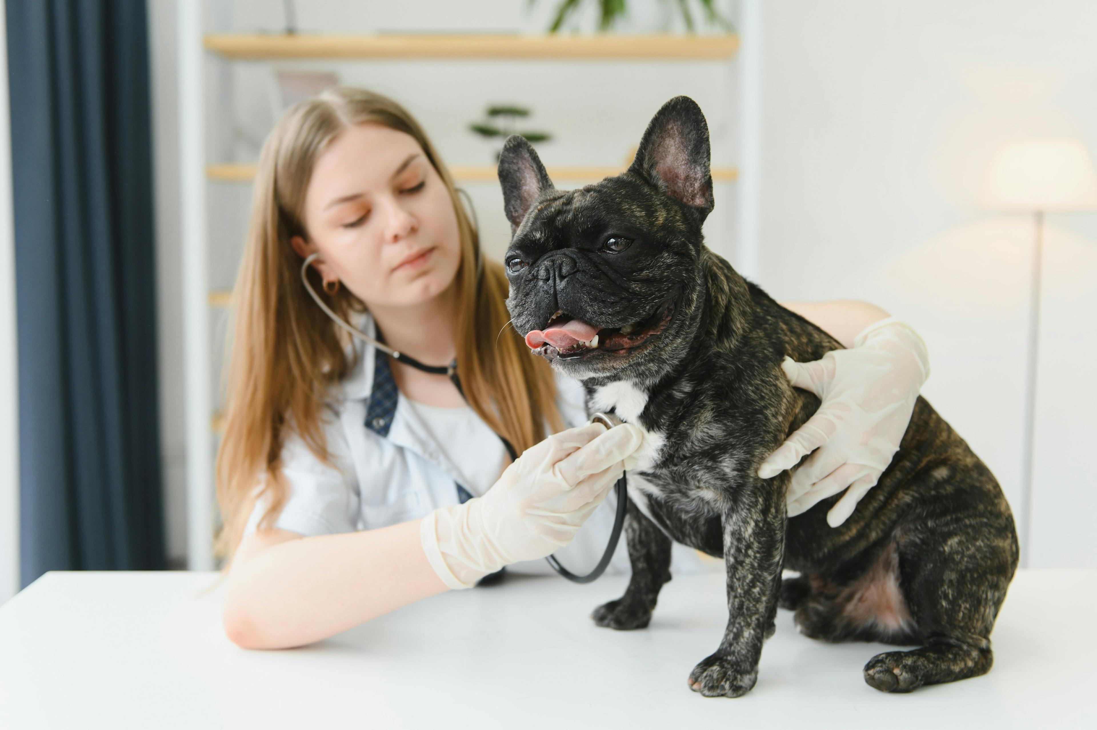 Clinical duty hour guidelines for veterinary students are revised in recognition of student wellness 