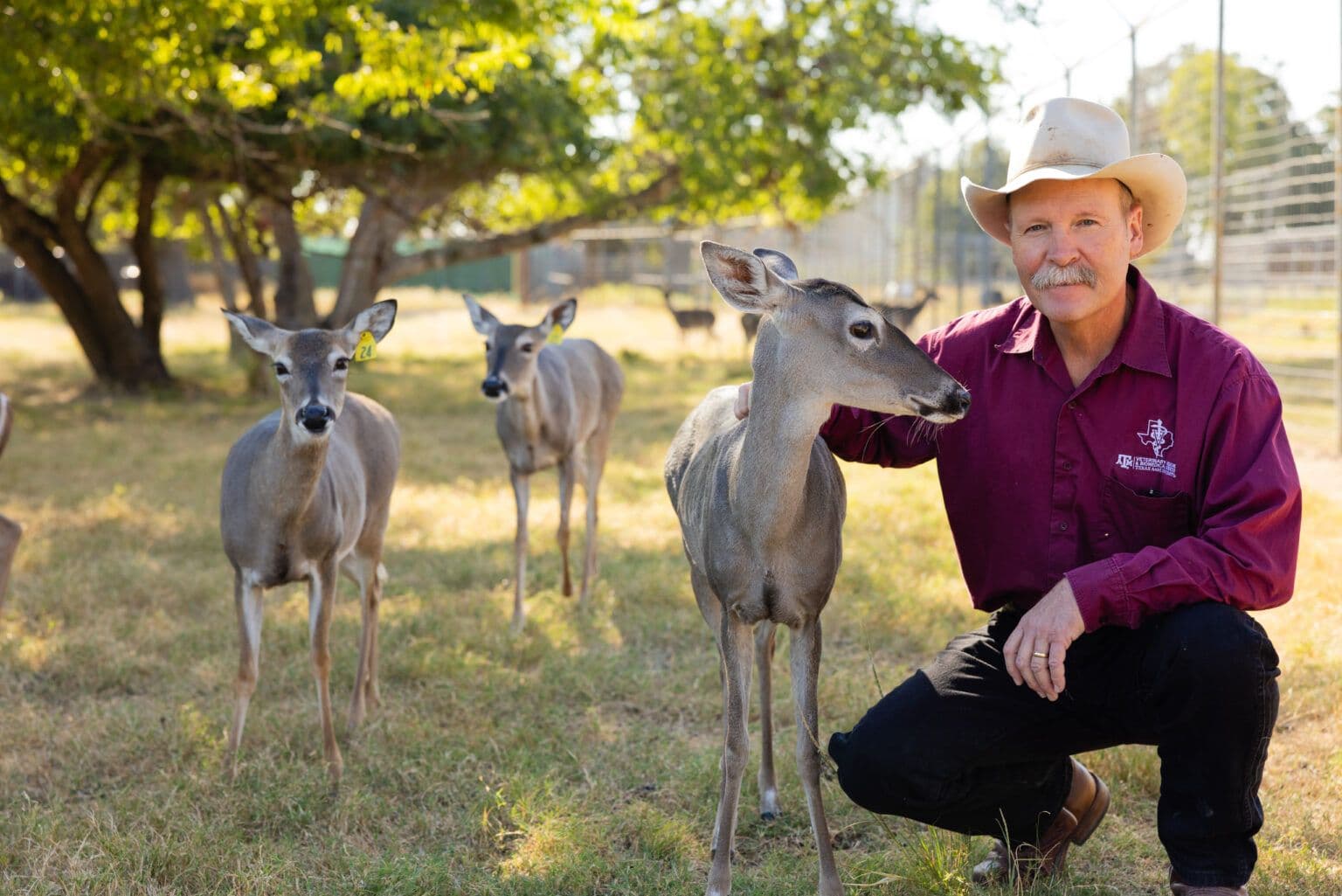 Walt Cook, DVM, PhD (Image courtesy of Jason Nitsch ’14/College of Veterinary Medicine and Biomedical Sciences)