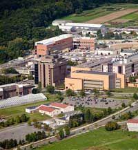 veterinary_01_Cornell_sm-437522-1384750102096.jpg