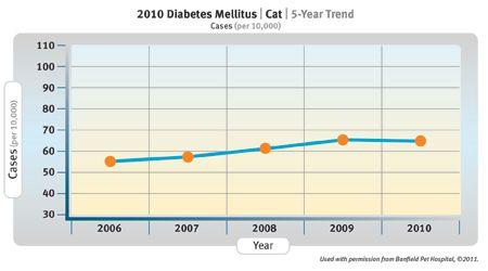 DiabetesFeline-01BIG-717481-1384193968608.jpg