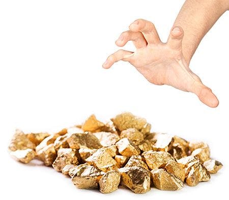 veterinary-shutterstock-compilation-hand-trying-to-grab-gold-nuggets-body.jpg