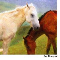 veterinary_pet_picasso_200-655308-1384334266310.jpg