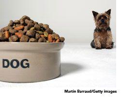 veterinary_pet-food_wd-579666-1384522038660.jpg