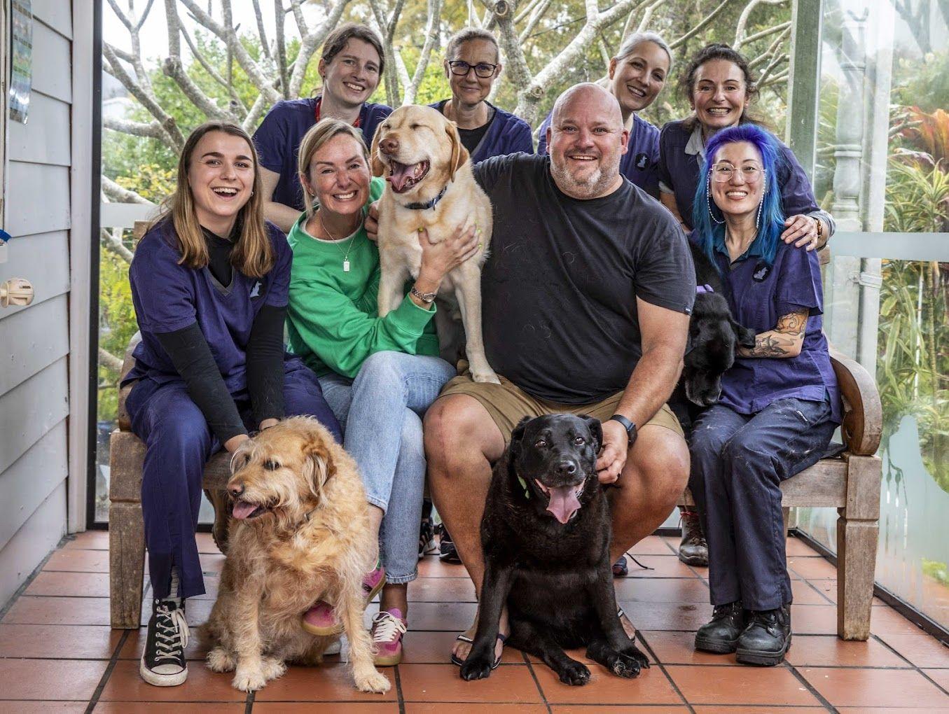 The veterinary team at Avoca Drive Animal Hospital (Image courtesy of Fear Free, LLC) 