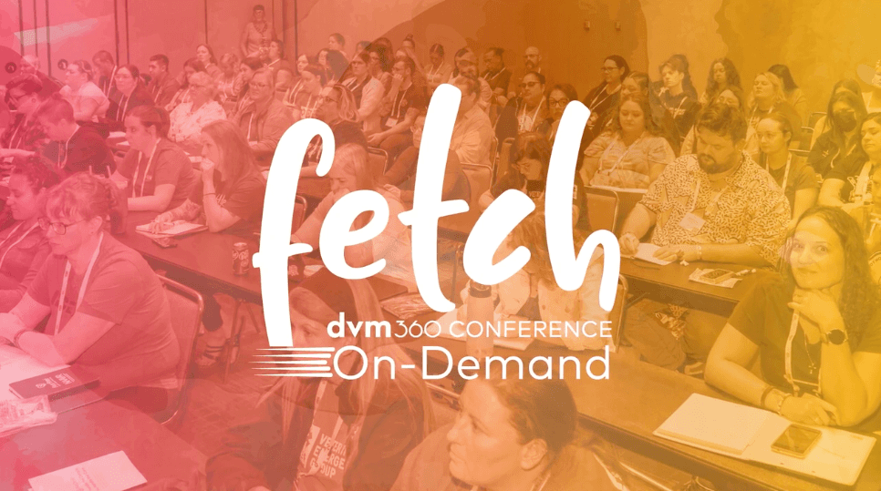 dvm360 launches Fetch Kansas City On-Demand