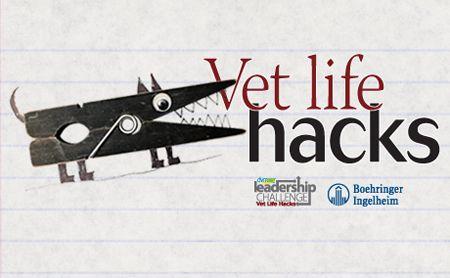 veterinary-leadership-hack-548779859-450.jpg