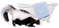 veterinary-skunk-bath-tub-108195712-809966-1382876813449.jpg