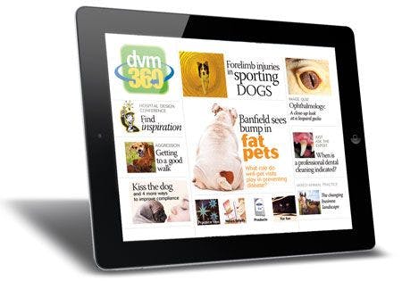 dvm360_veterinary_ipad_issue12_450w-795266-1384154773891.jpg