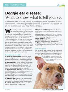 veterinary-pitbull-handout-doggie-ear-disease-220px.jpg