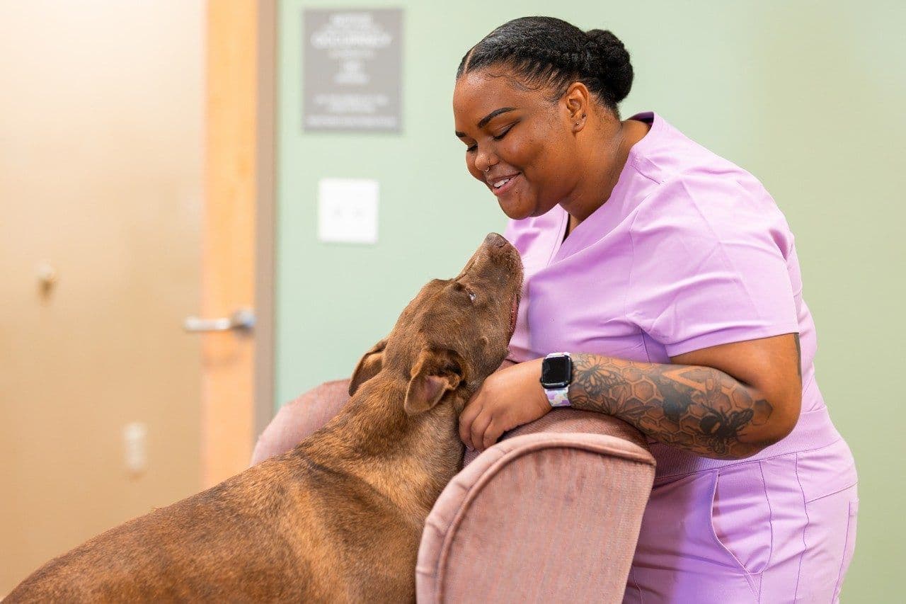 E’lisia Davis working with shelter dog, Maggie at the Montgomery County Animal Care and Adoption Center (Image courtesy of Margie Christianson for Virginia Tech) 