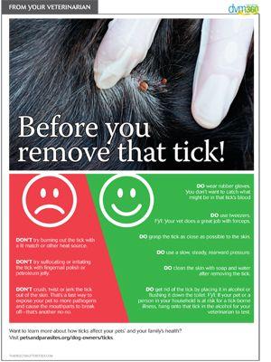 veterinary-handout-TickRemoval-300.jpg