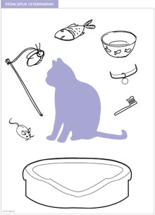 cat-coloring-handout-21415047634027.png