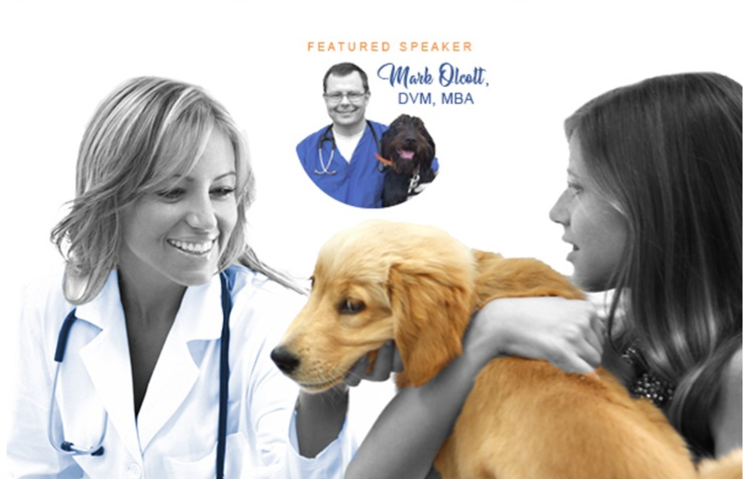 veterinarian with dog