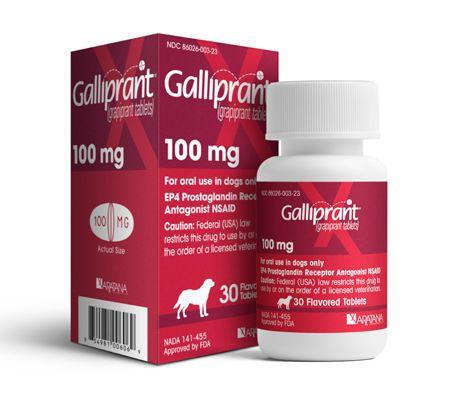 veterinary-GALLIPRANT-450.jpg