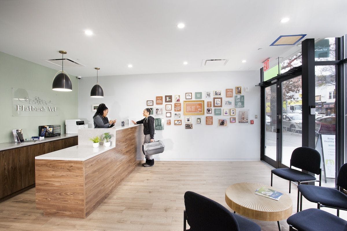 Flatbush Veterinary Clinic Lobby (Photo courtesy of Tim Murphy | Foto Imagery)