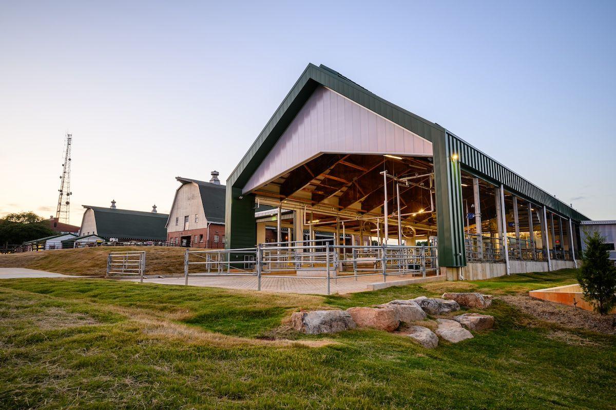 The cutting-edge dairy barn (right) stands next to the Great Depression-era barn it replaces (middle) on the NC State College of Veterinary Medicine Campus.

Photos: John Joyner/NC State College of Veterinary Medicine