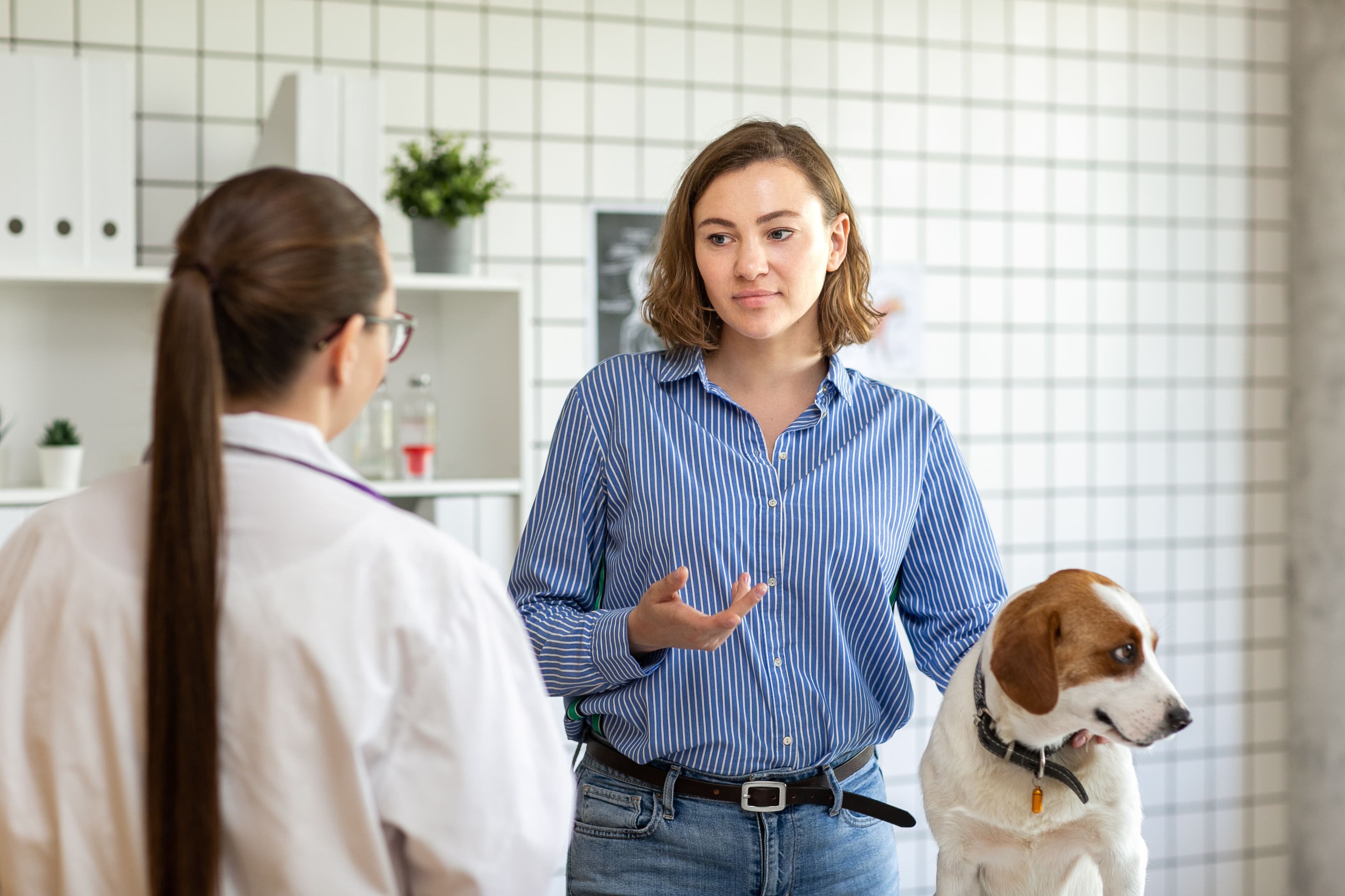 Study highlights client concerns about veterinary specialty and emergency care