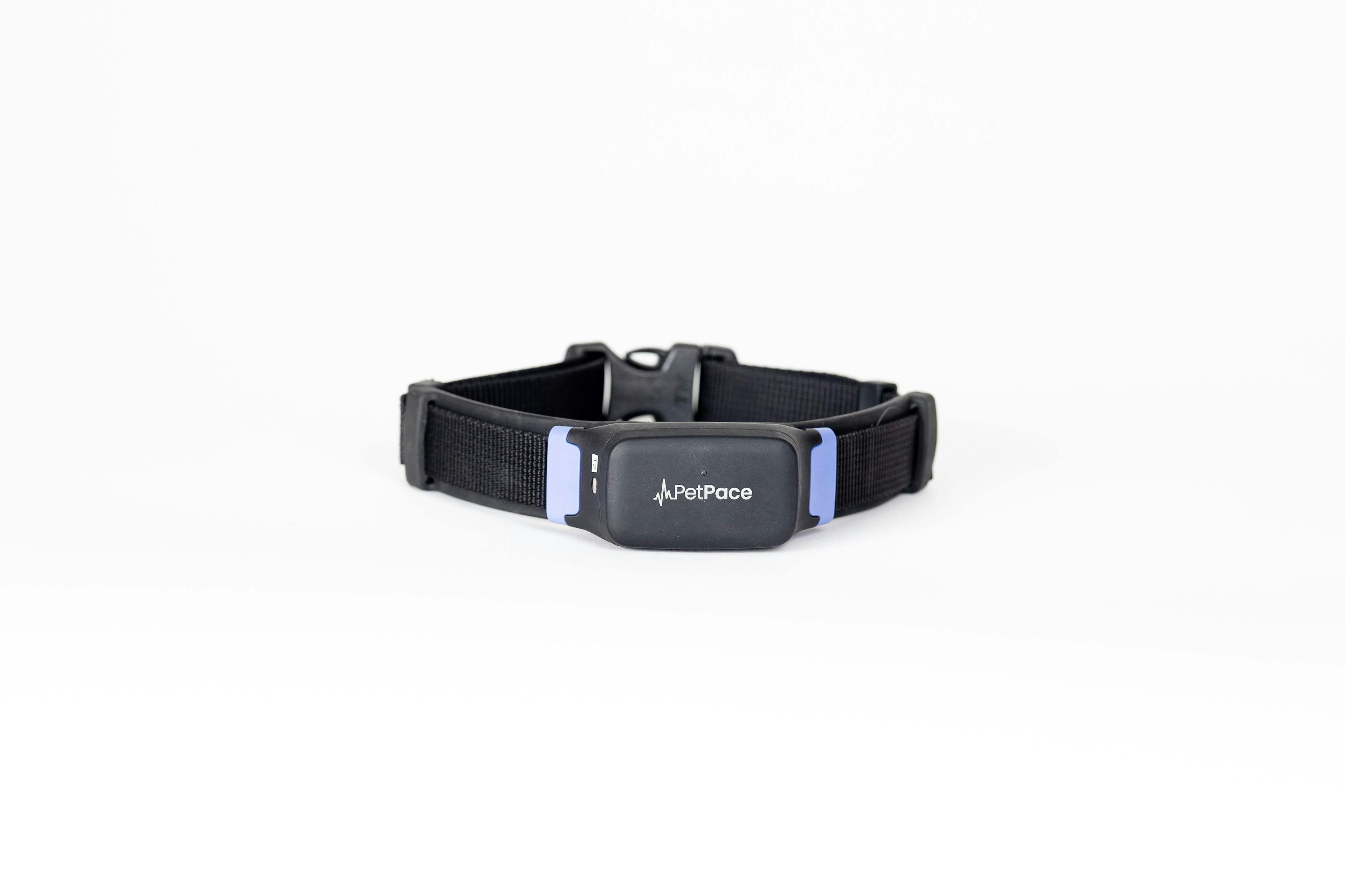 PetPace 2.0 smart collar. 