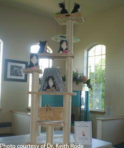 veterinary_cattree1-745323-1384181561086.jpg