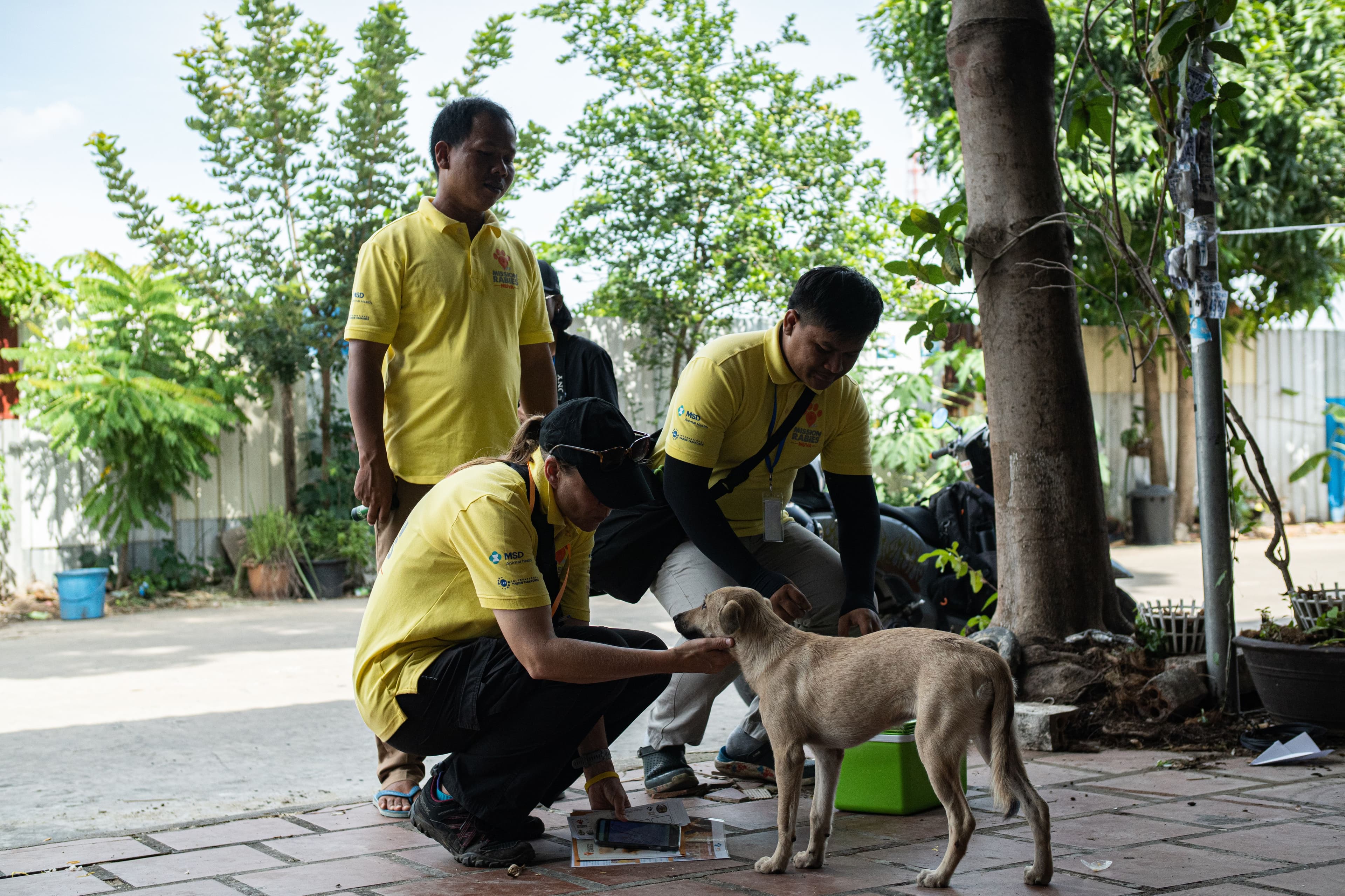 A team prepares to vaccinate a dog. 

(Photos courtesy of Worldwide Veterinary Service)