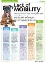 senior_mobility_JS-150.jpg