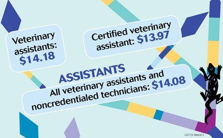 veterinary_team-salary-2-assistantsR1_460-284px.jpg