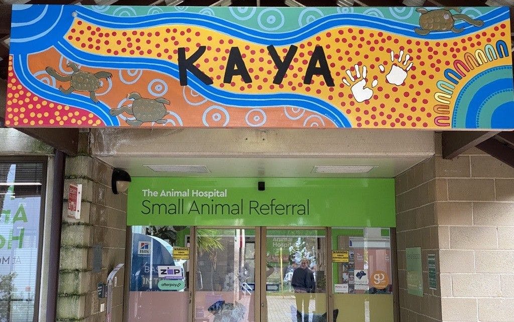 Veterinary scene Down Under: Aboriginal artwork at veterinary hospital, plus veterinarians celebrated with honors and more